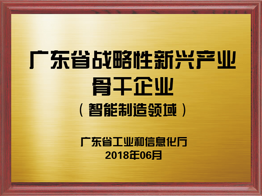 13-廣東省戰(zhàn)略性新興產業(yè)骨干企業(yè)（智能制造領域）1.jpg